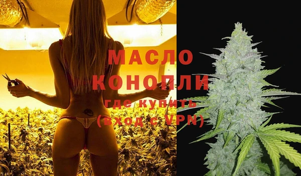 тгк Абаза
