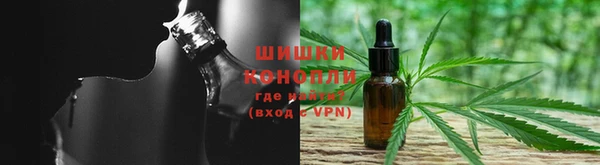 тгк Абаза