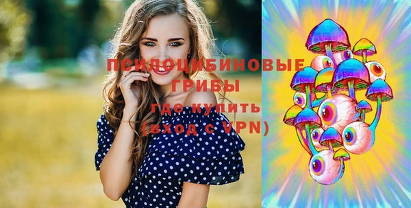 тгк Абаза