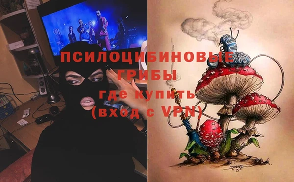 тгк Абаза