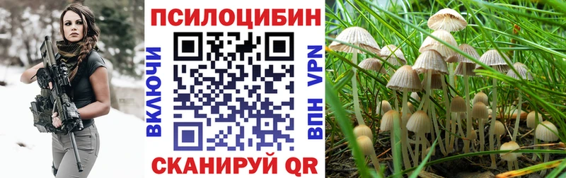 мега ТОР  Чулым  Галлюциногенные грибы Psilocybe  где купить  